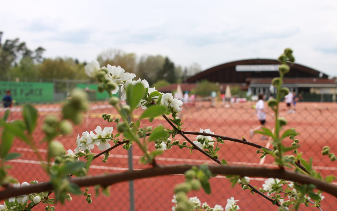 Home uthc pr fruheling tennisanlage blumen 01 1080x675